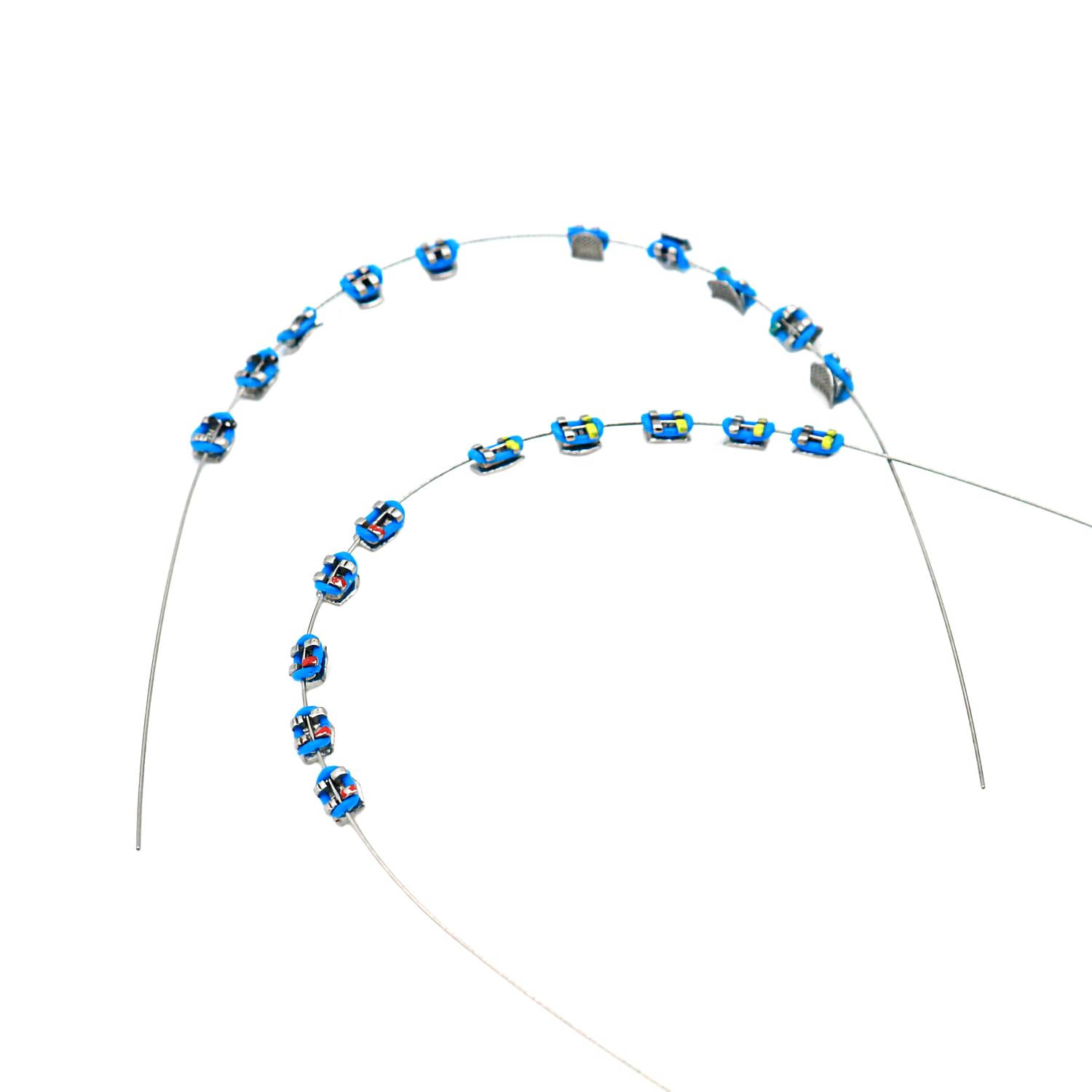 SEAVERRS 1 Pack temporary dental decorations blue - metal wires, brackets and ligatures mounted on a dental model (image 1)
