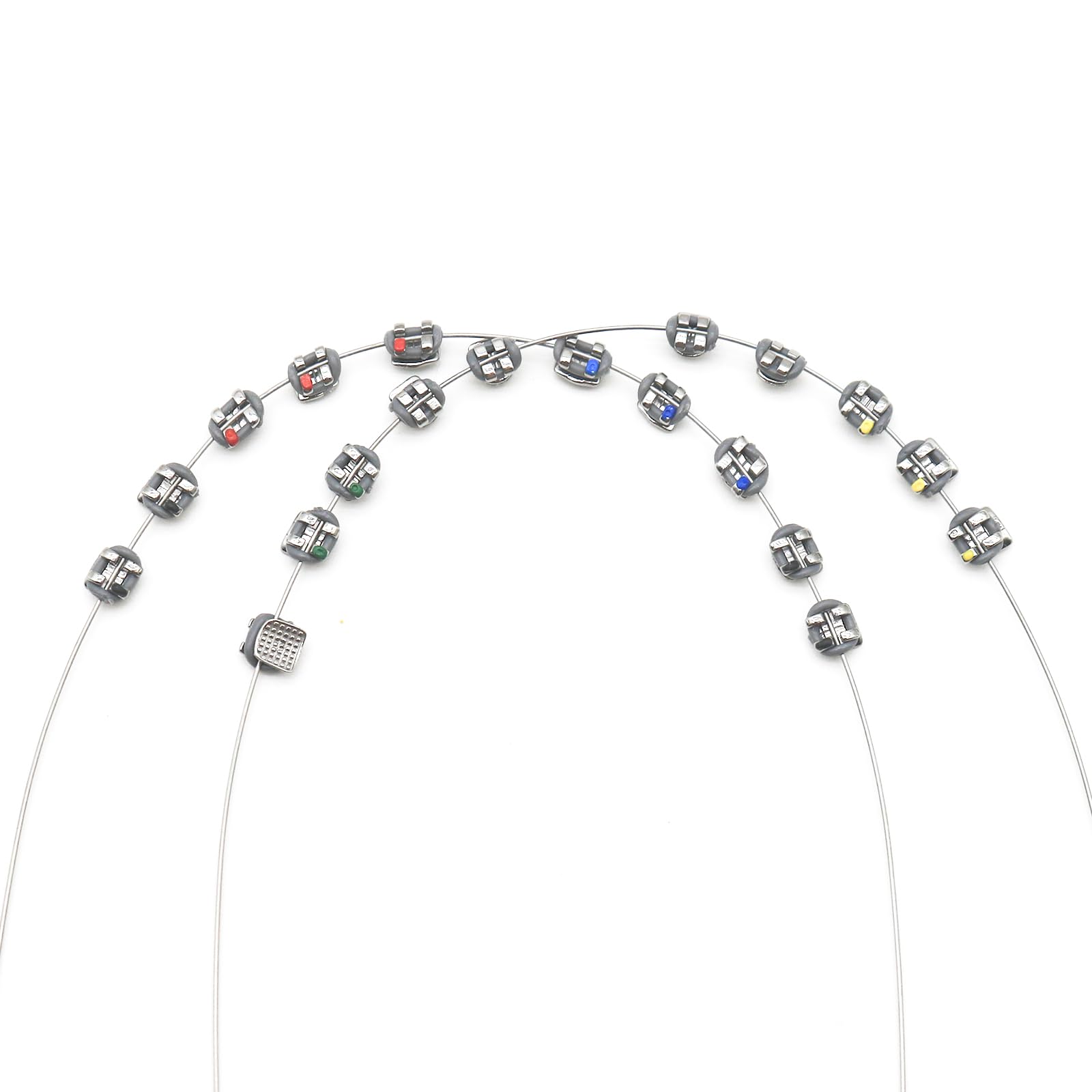 SEAVERRS 1 Pack Temporary Tooth Decoration in Grey with Metal Wires, Metal Bracket and Orthodontic Ligature Ties for Dental Education