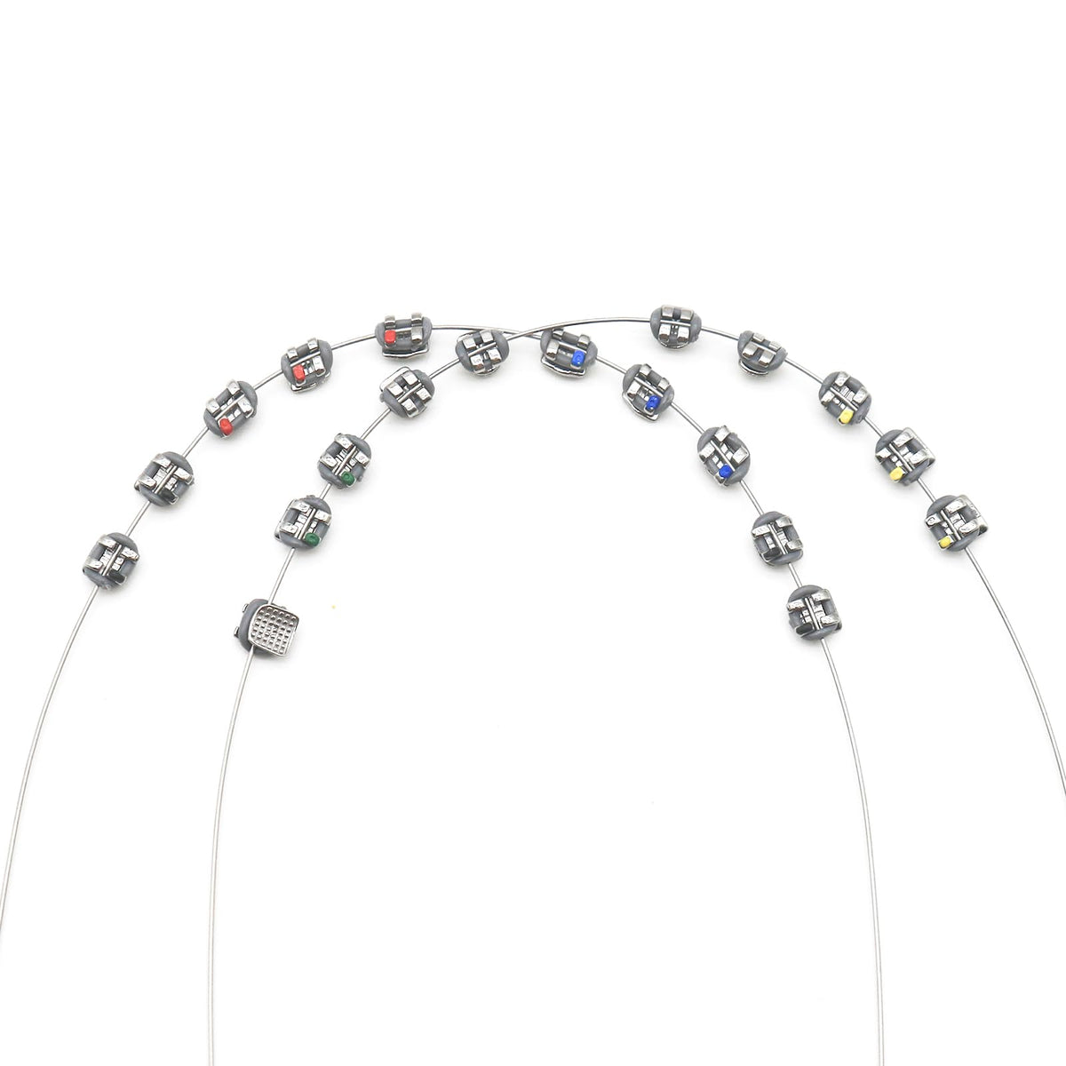 SEAVERRS 1 Pack Temporary Tooth Decoration in Grey with Metal Wires, Metal Bracket and Orthodontic Ligature Ties for Dental Education
