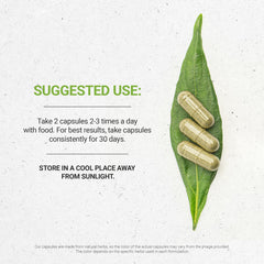 Close-up of parsley capsules – Secrets of the Tribe