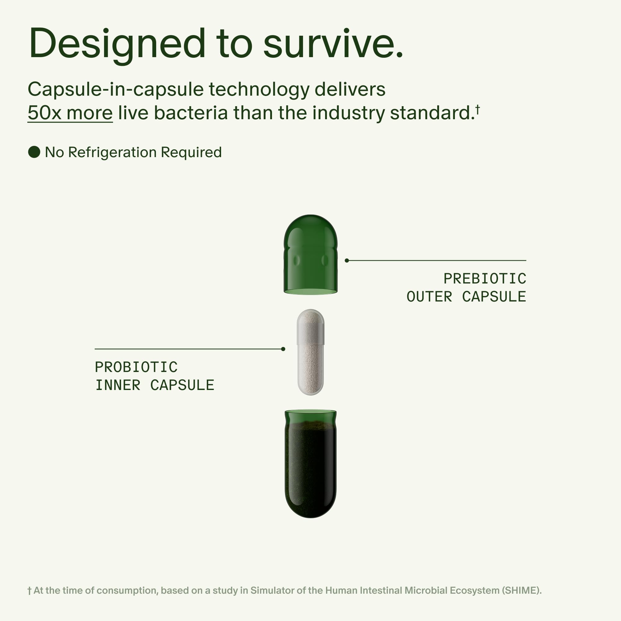 Seed DS-01 bottle displayed on a shelf indicating shelf-stable packaging