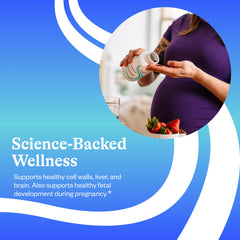 Illustration of choline from phosphatidylcholine and sunflower lecithin ingredients