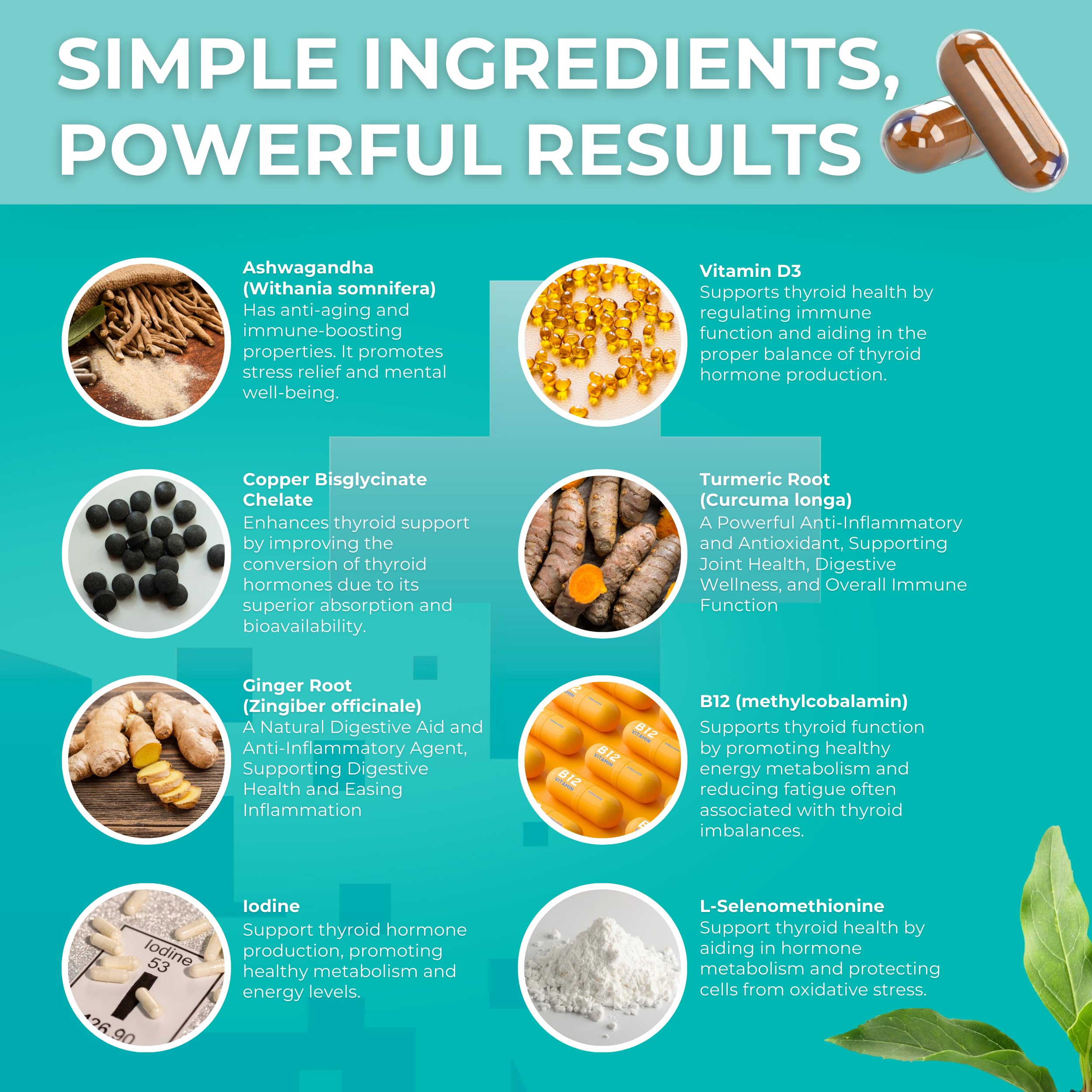 Illustration of key nutrients: iodine, selenium, and L-tyrosine