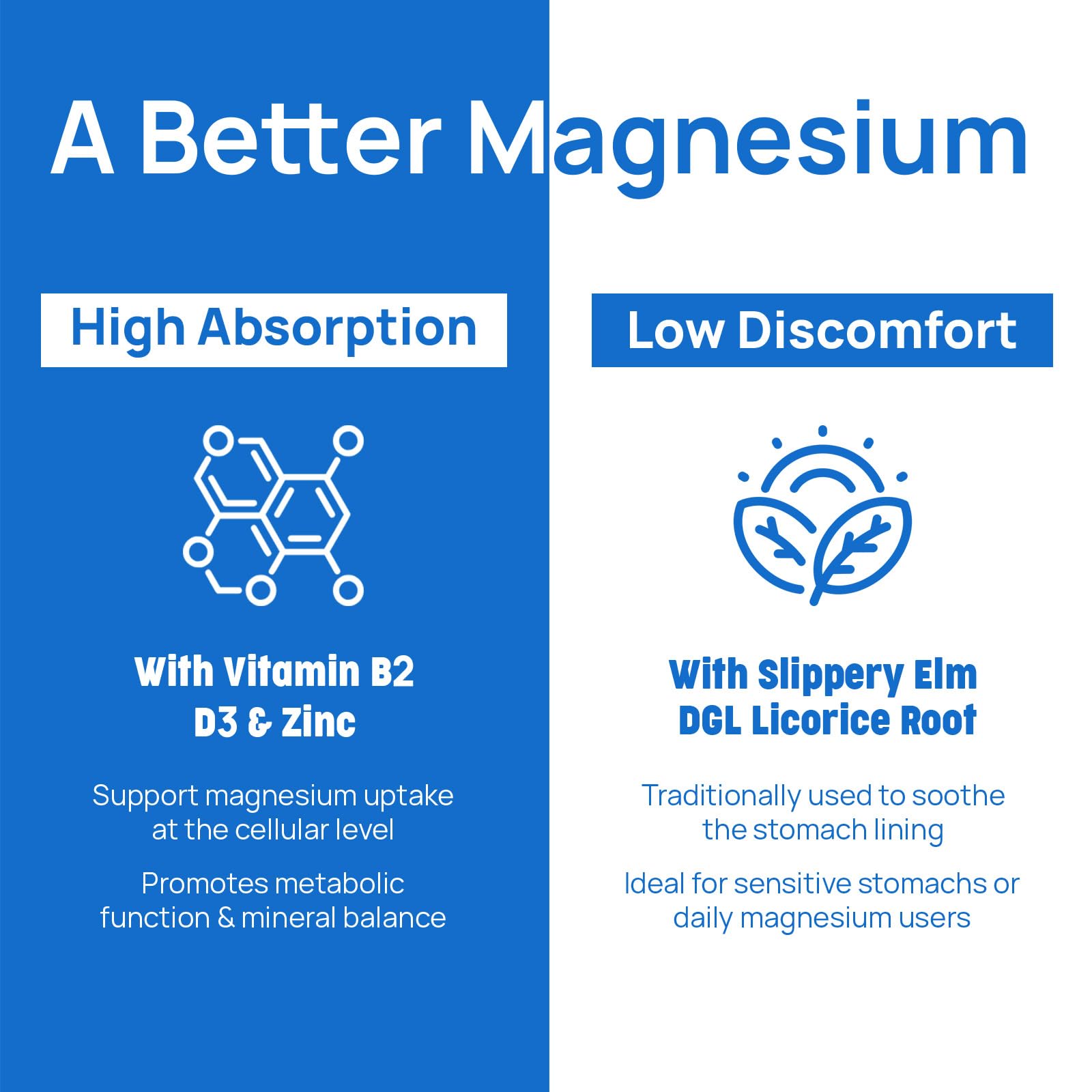 Vitamin B6, Vitamin D3, and Zinc supporting nerve health and immunity