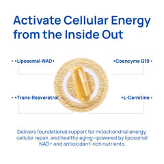 Trans-resveratrol antioxidant support accompanying NAD+