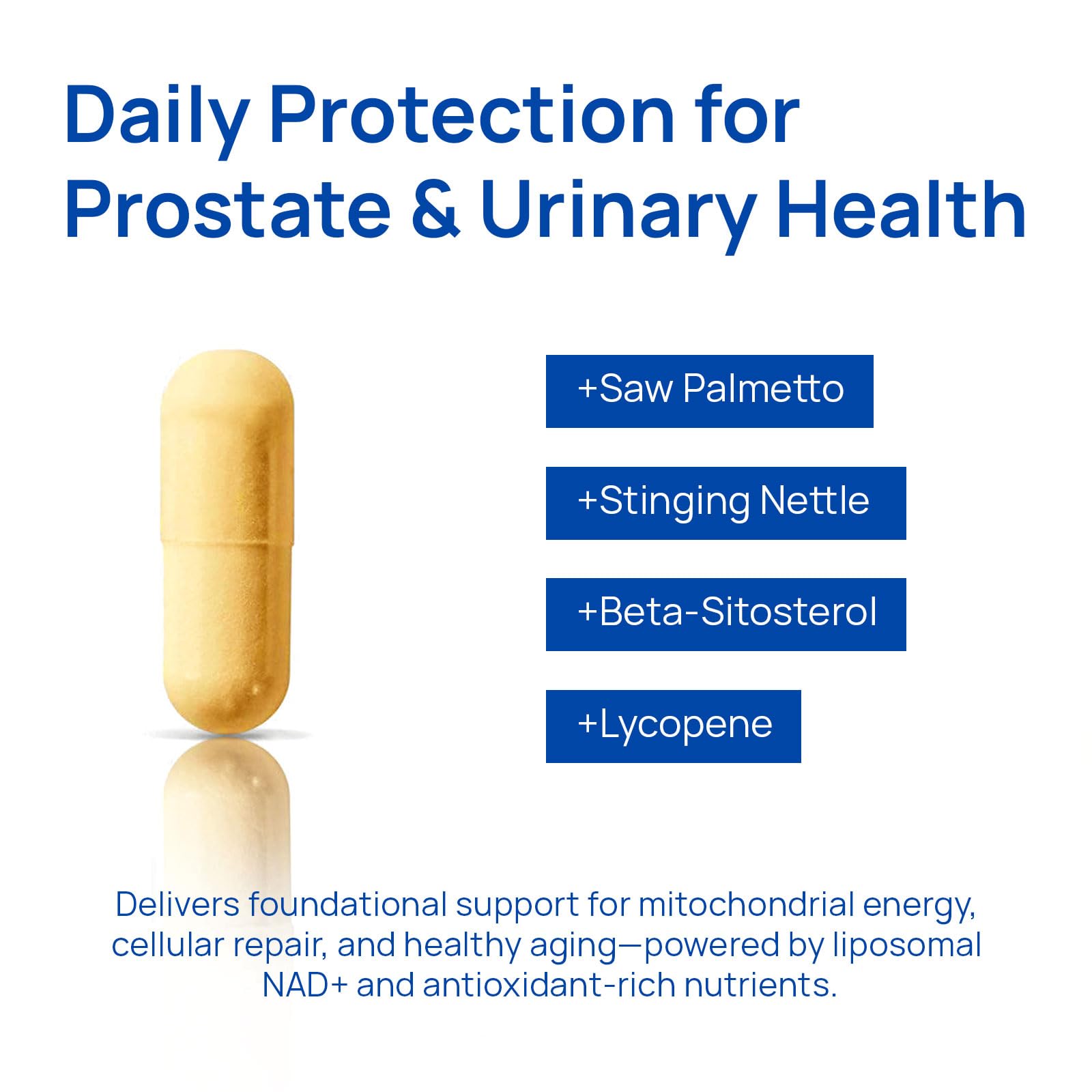 Adaptogenic herbs Maca Root and Ashwagandha