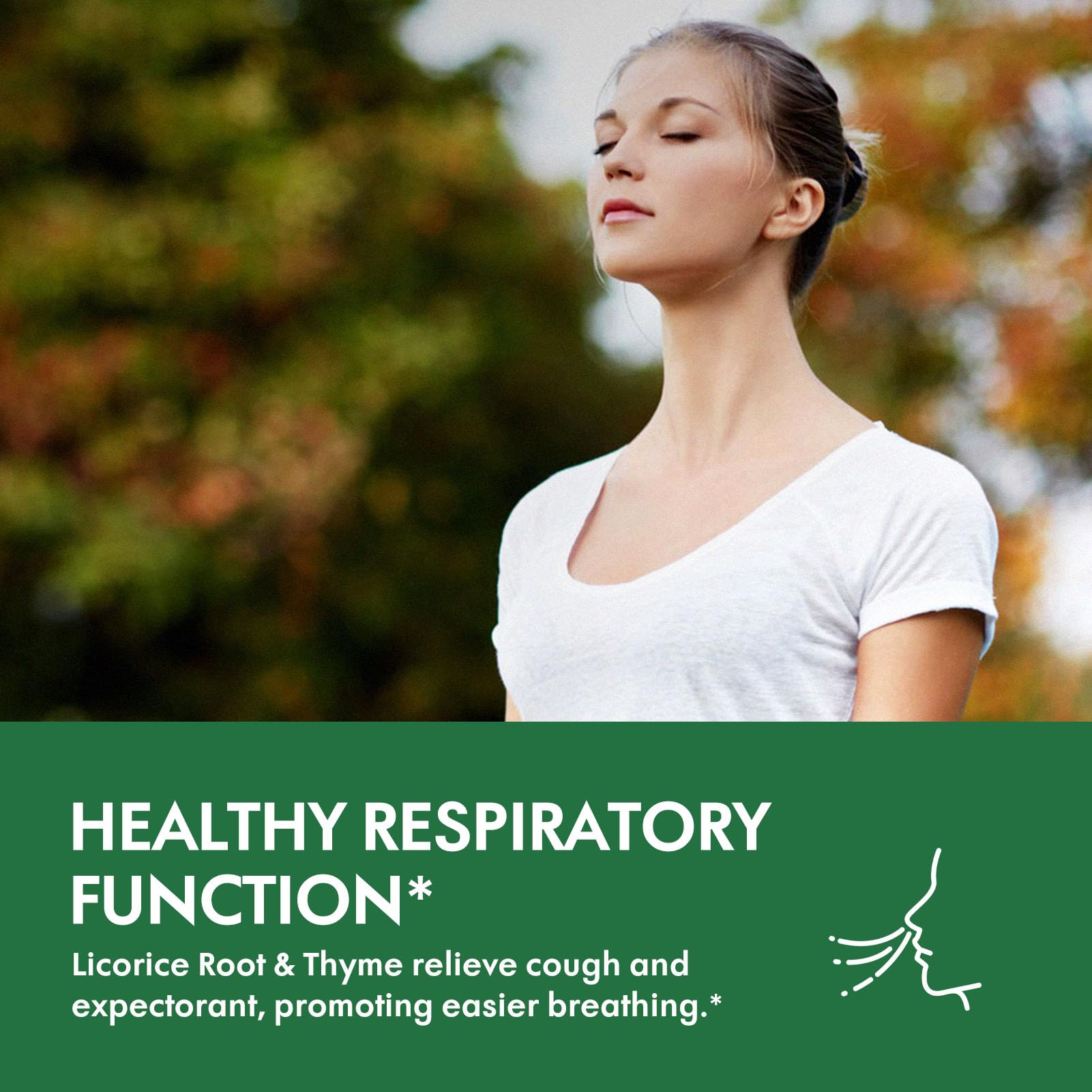 Illustration of Selvaherb Drops ingredients