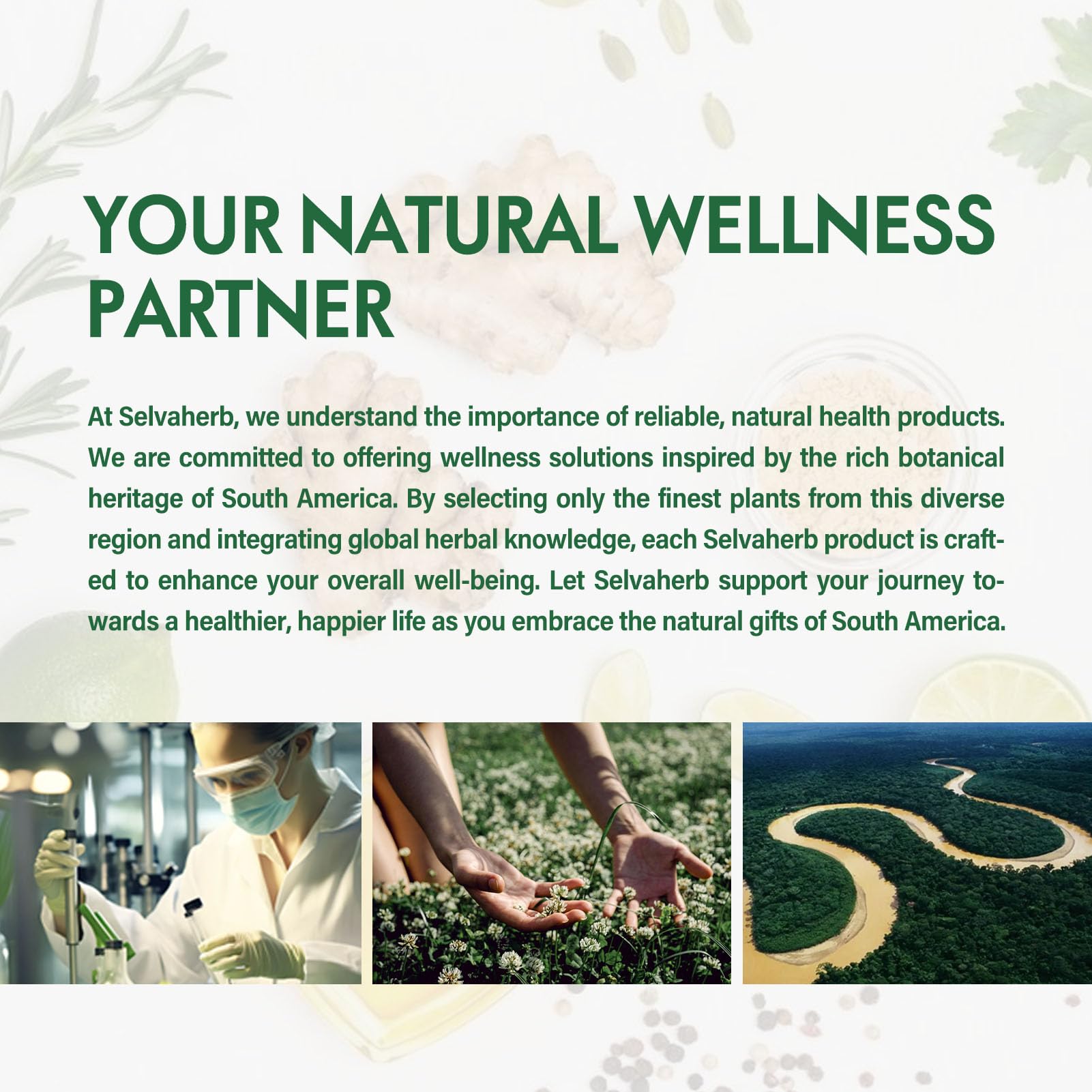 Product shot of Selvaherb Poke Root Drops against natural herbal background