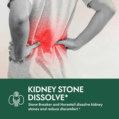 Chanca Piedra and herbs used in Stone Breaker formula