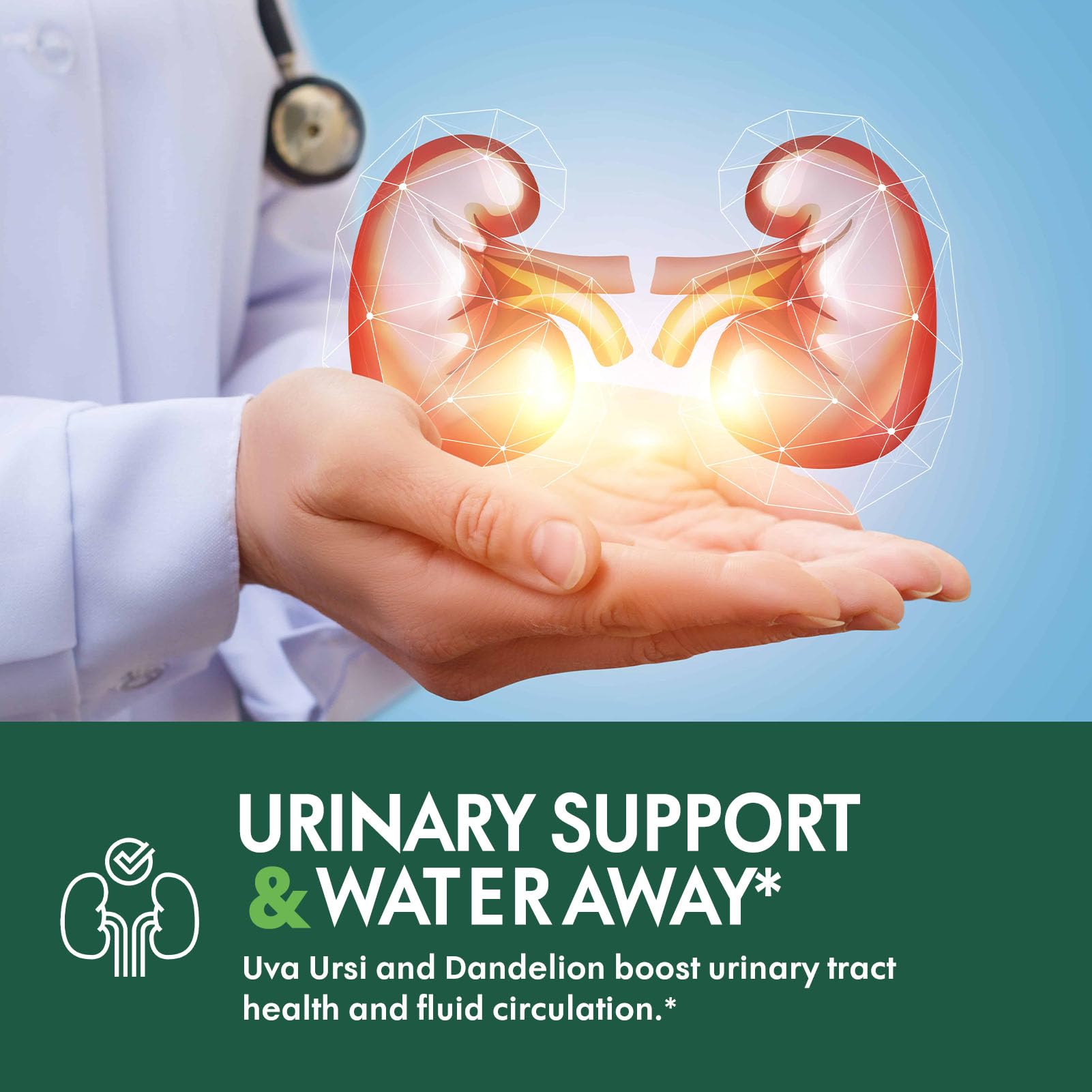 Stone Breaker capsules close-up with packaging