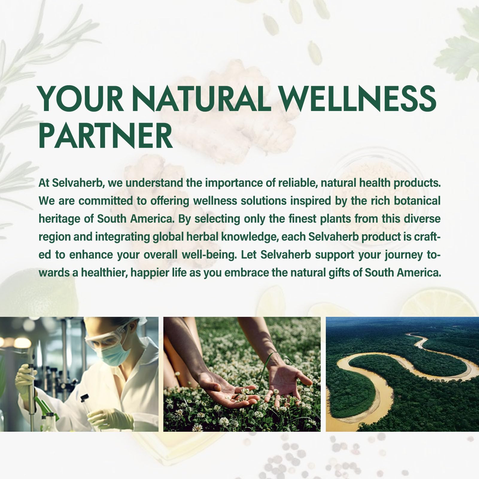 Lifestyle shot of adults taking Stone Breaker capsules