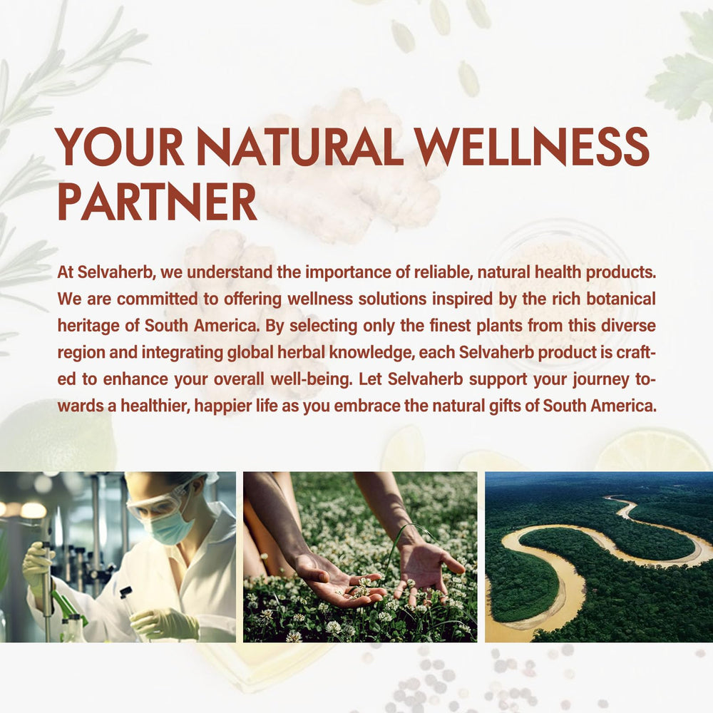 Natural herbal ingredients arranged for Selvaherb Drops