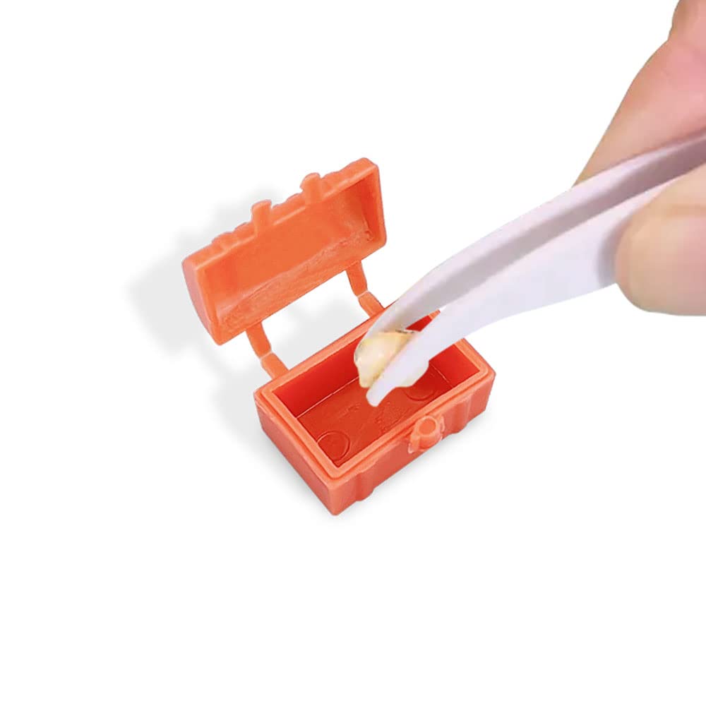 Colorful tooth storage boxes shown as wearable tooth holder necklace