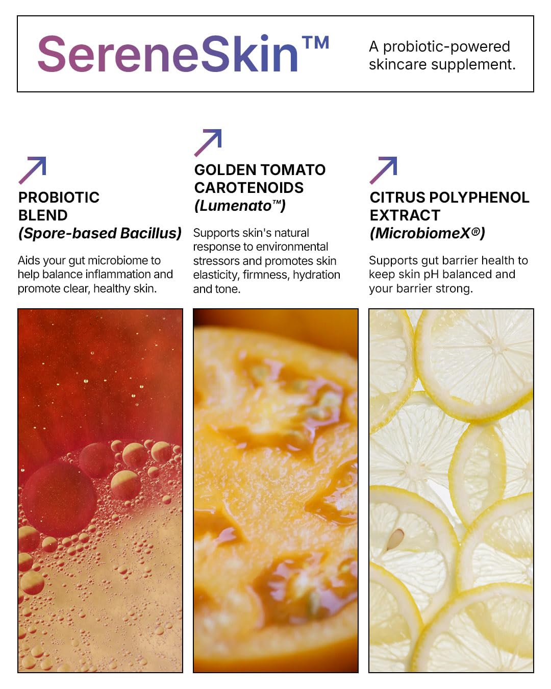 Vitamin K2 MK-7 supplement detail