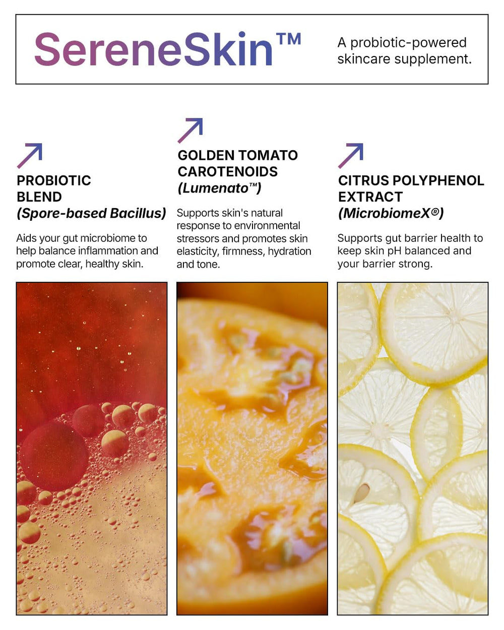 Vitamin K2 MK-7 supplement detail