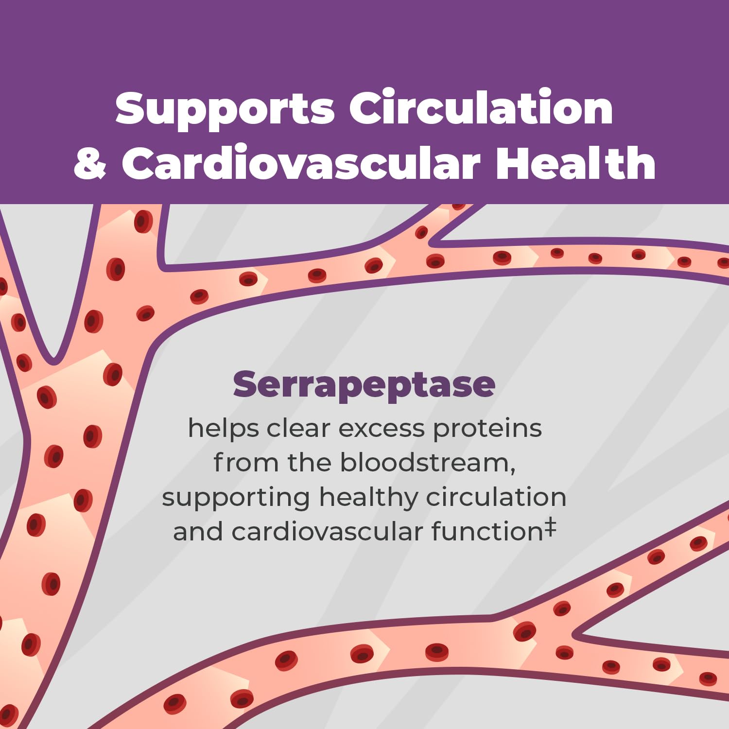 Nattokinase enzyme icon featured on SerraDefend packaging