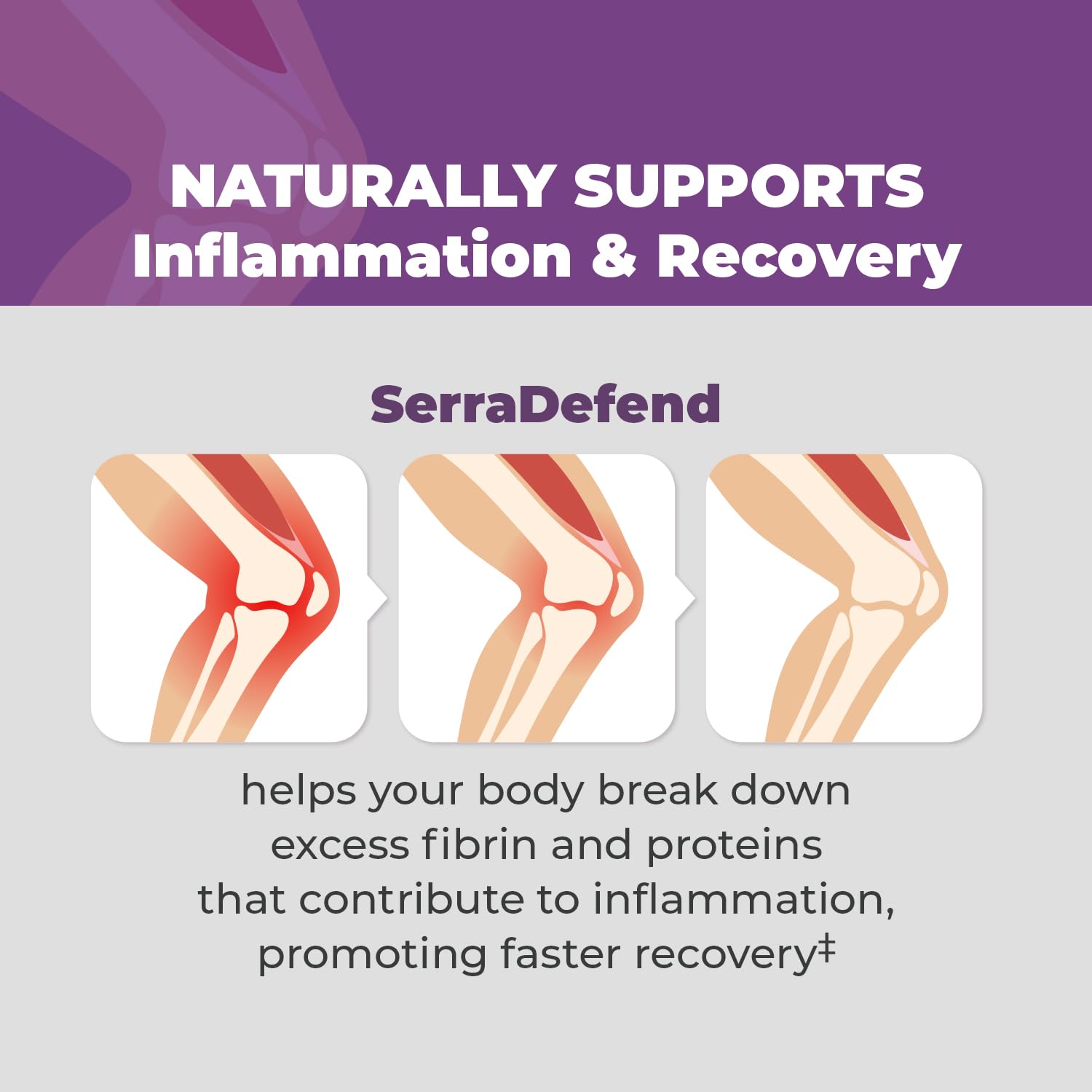 Ingredients list highlighting Serrapeptase, Nattokinase, Protease, and Cellulase