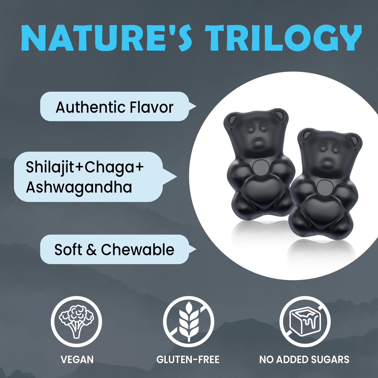 Serving graphic of Shilajit gummies and dosage