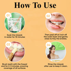 Close-up of natural Miswak toothbrush sticks