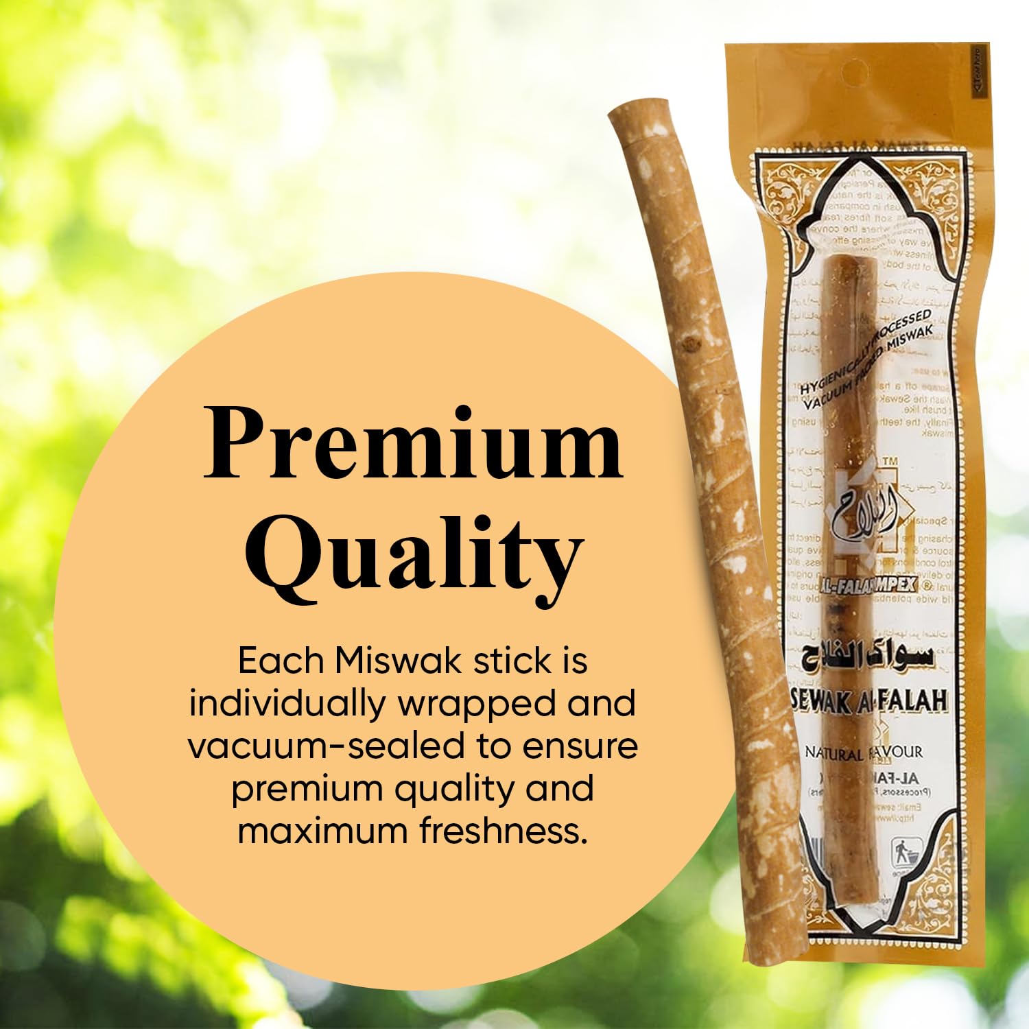 Ten Miswak toothbrush sticks displayed together
