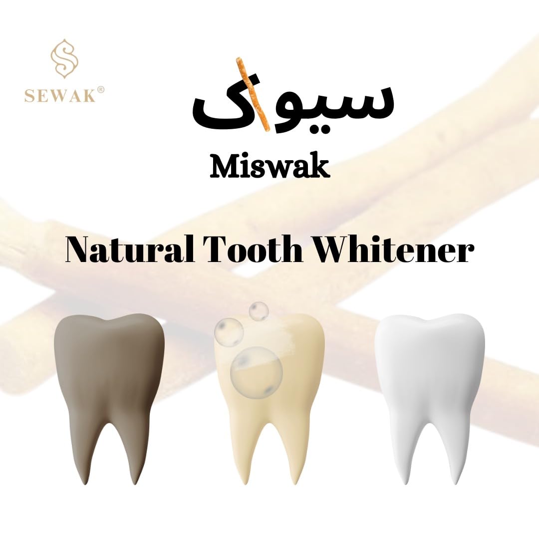 Vacuum-sealed packaging of SEWAK Miswak Sticks (Pack of 10)