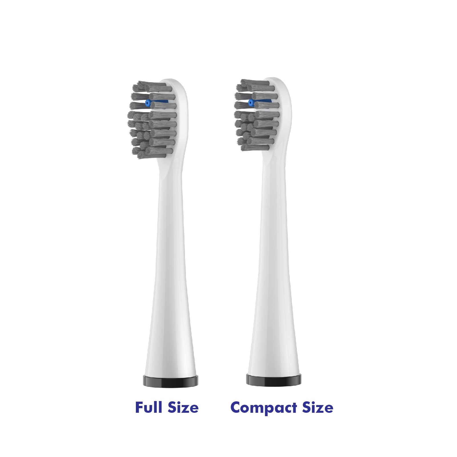 Head pack compatible with SF-01 and SF-02 Waterpik models