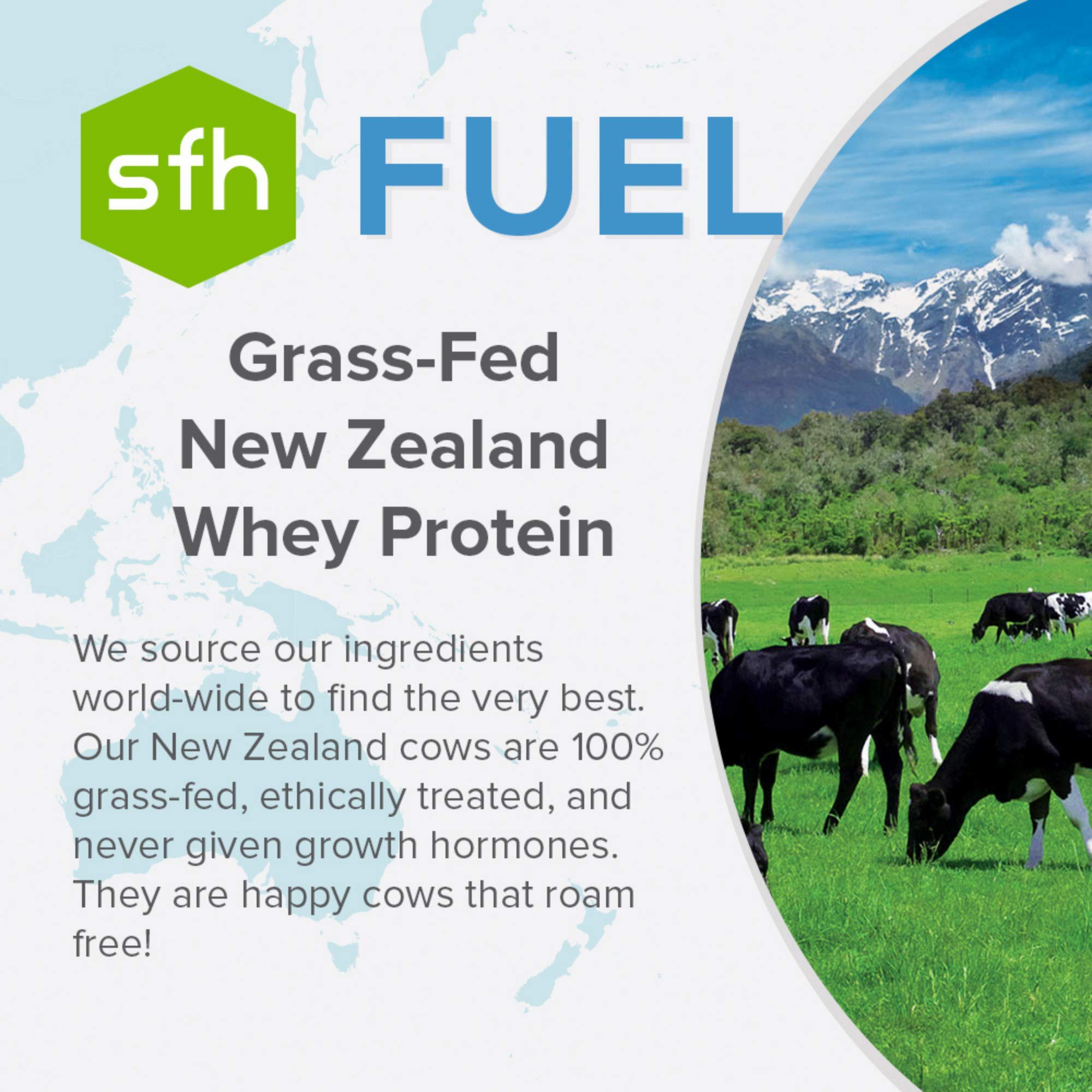 SFH Fuel natural protein powder close-up reveals creamy texture and color.