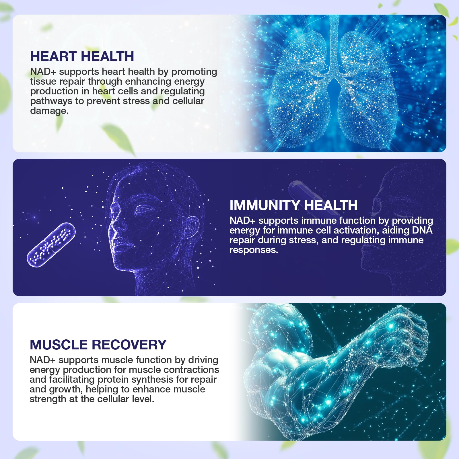 Energy-boosting NAD+ Resveratrol supplement visual