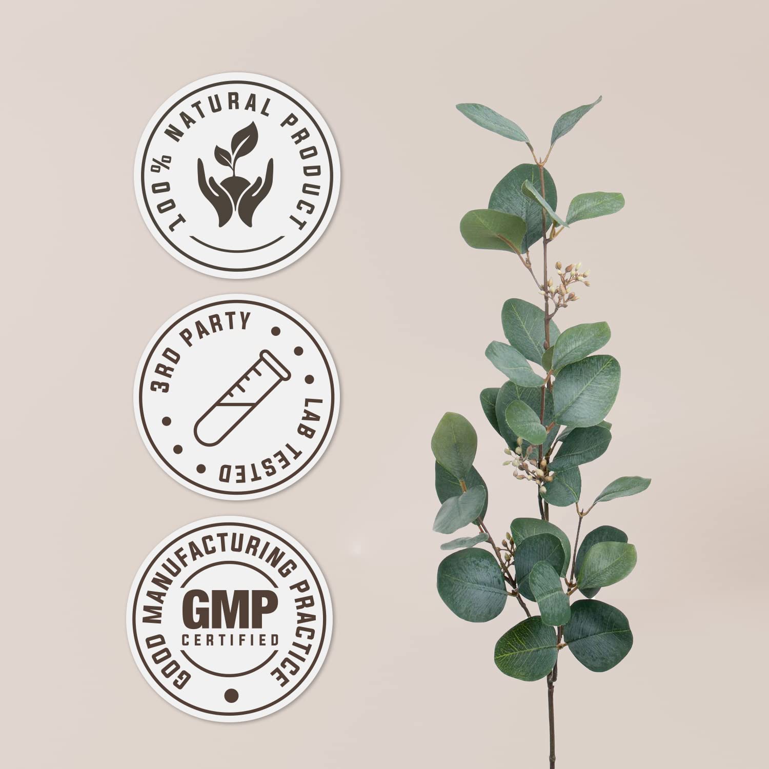 Lab-tested purity seal for Sheep Sorrel supplement