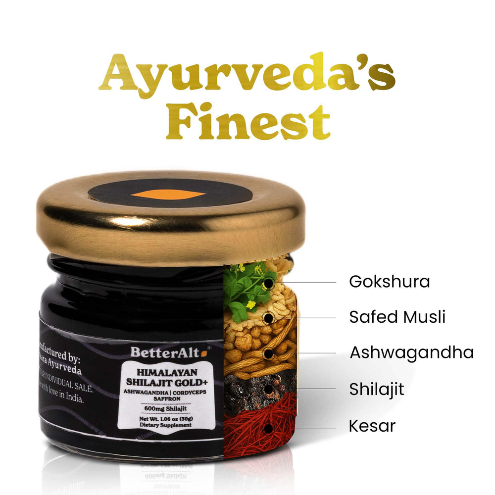 Shilajit Gold 30g packaging label with key details