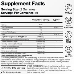 Close-up of Shilajit Gummies showing gummy texture