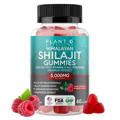Shilajit Gummies Raspberry Flavor 60 Count bottle front