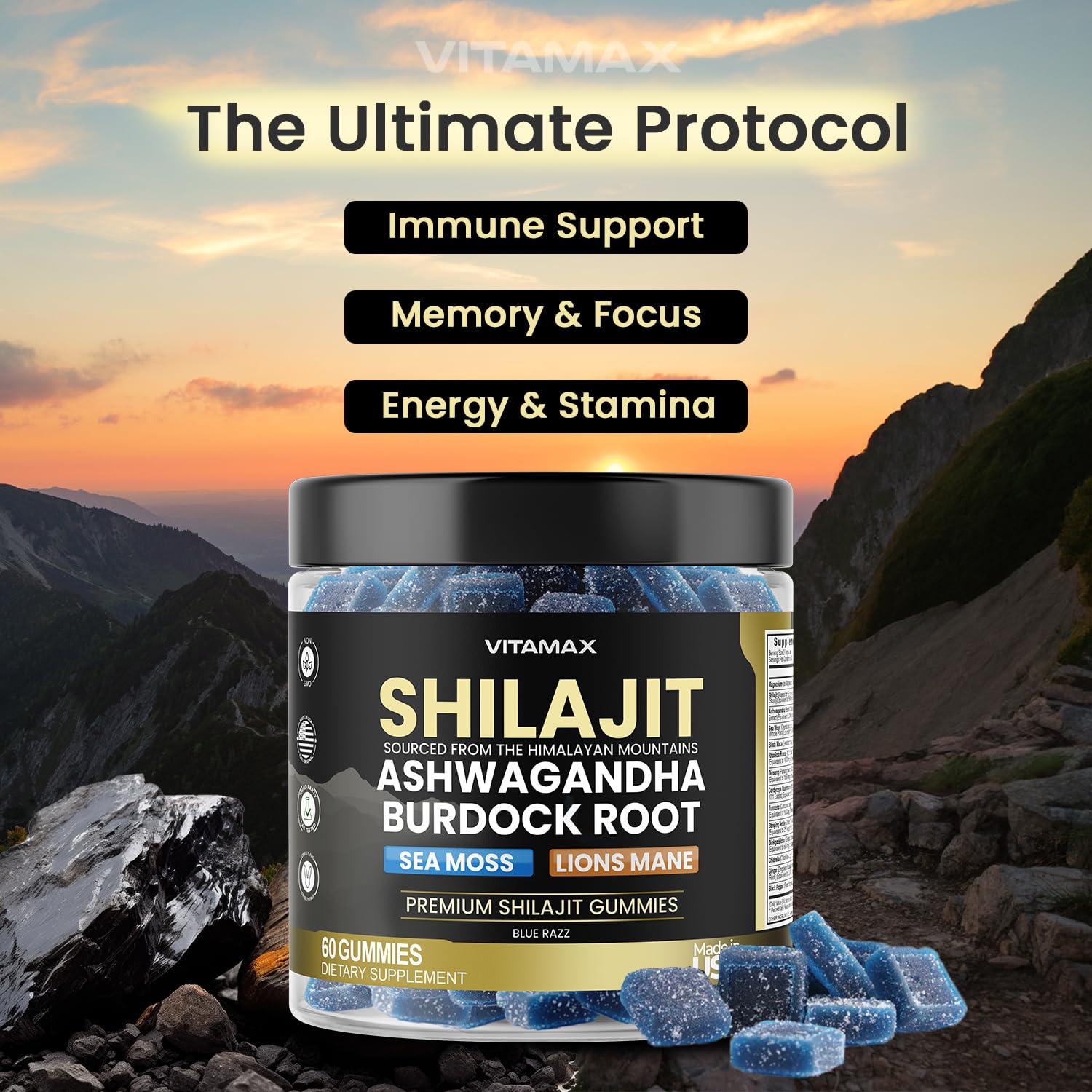 shilajit gummies energy and immune boost close-up
