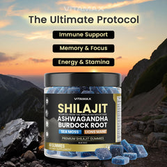 shilajit gummies energy and immune boost close-up