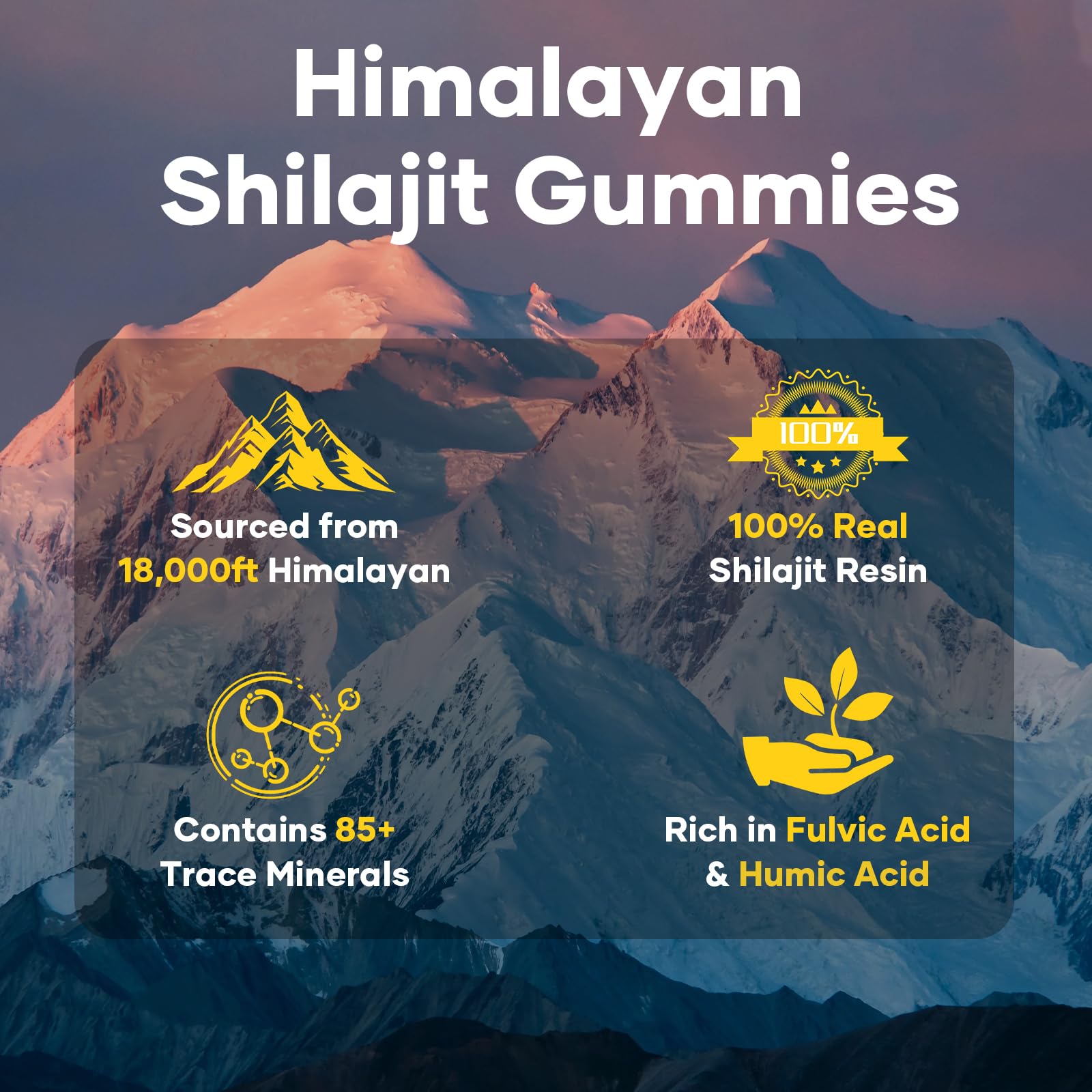 Shilajit Gummies Gold ingredients: Ashwagandha, Saffron, Gokshura, Safed Musli