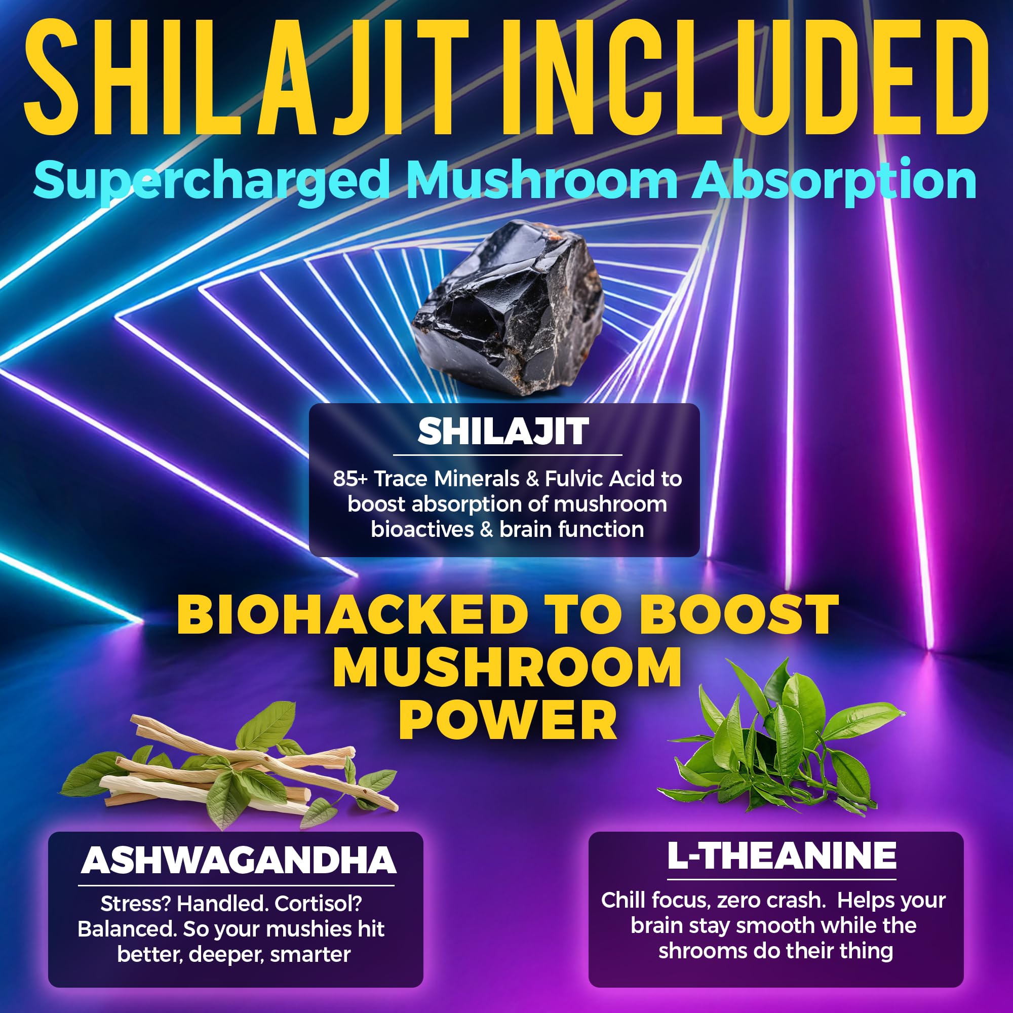 Shilajit minerals for enhanced absorption