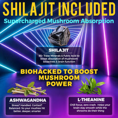Shilajit minerals for enhanced absorption