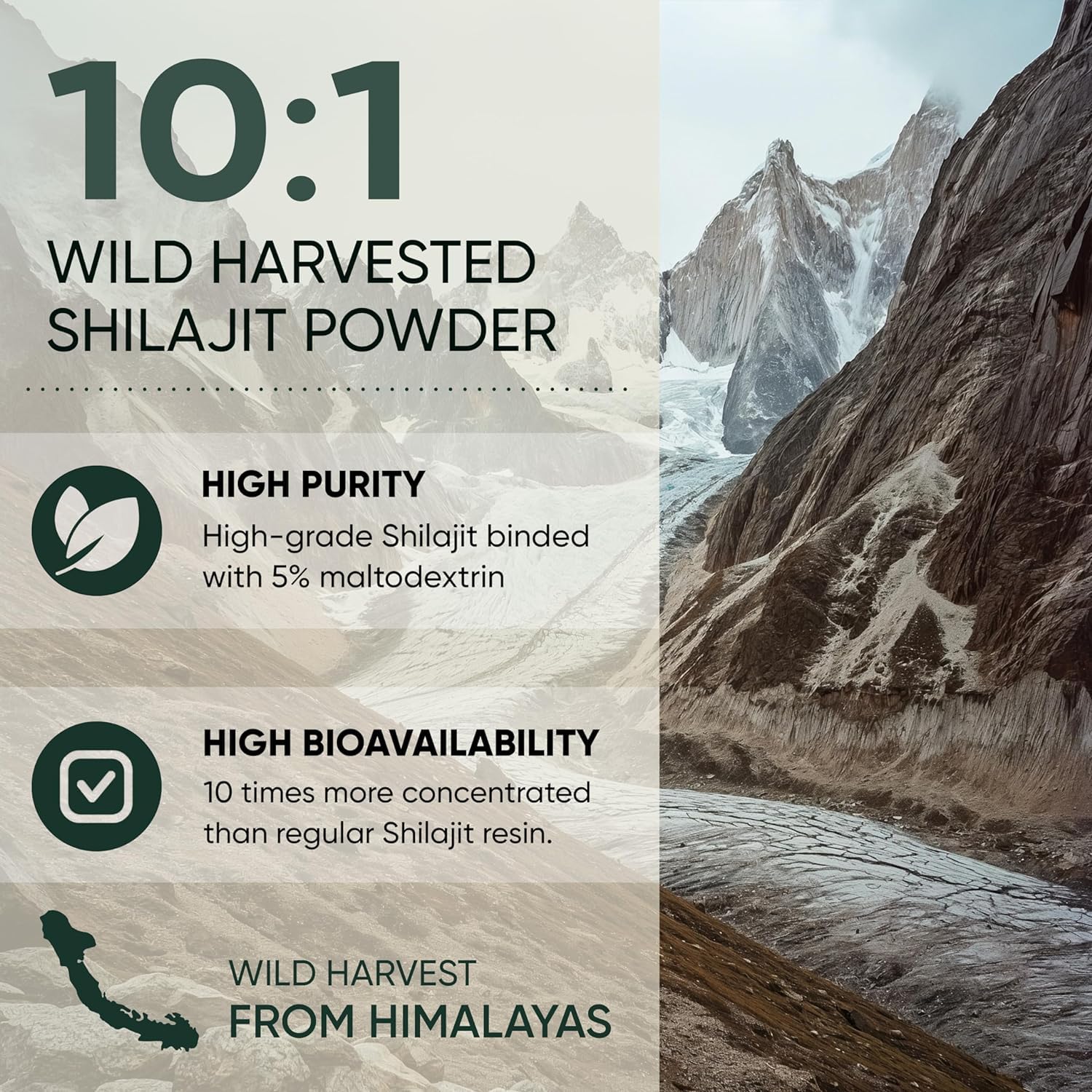 Shilajit powder for energy support