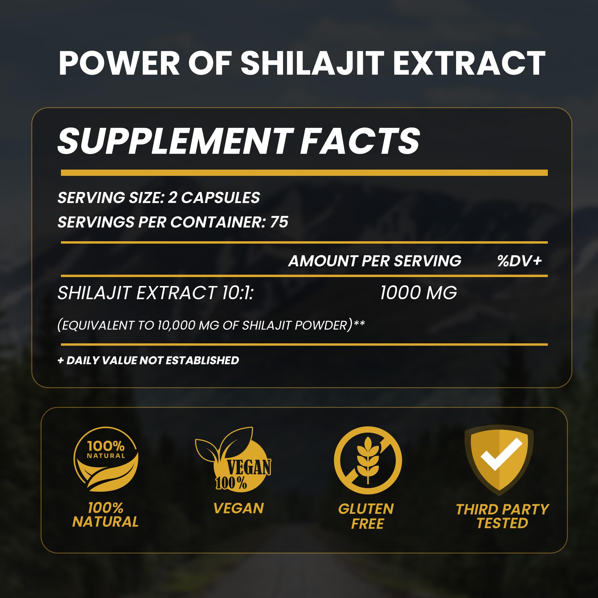 Close-up of Shilajit capsules with dark glossy finish