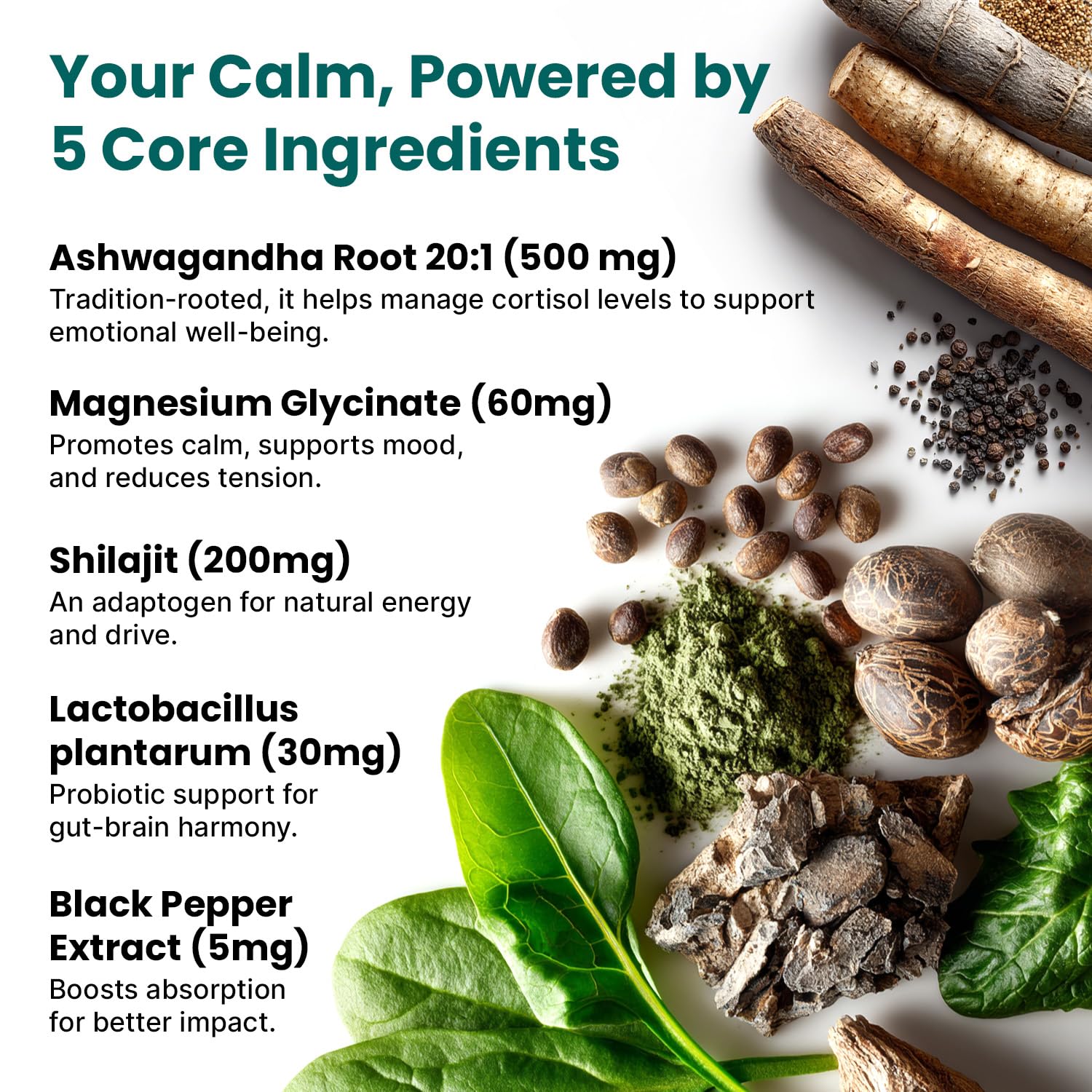 Probiotics and Shilajit in cortisol support blend