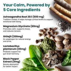 Probiotics and Shilajit in cortisol support blend