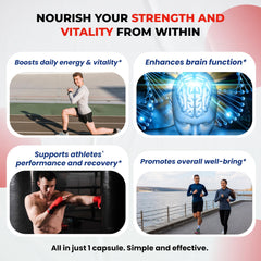 Highlight of fulvic acid 85% in the Shilajit Pure Himalayan blend