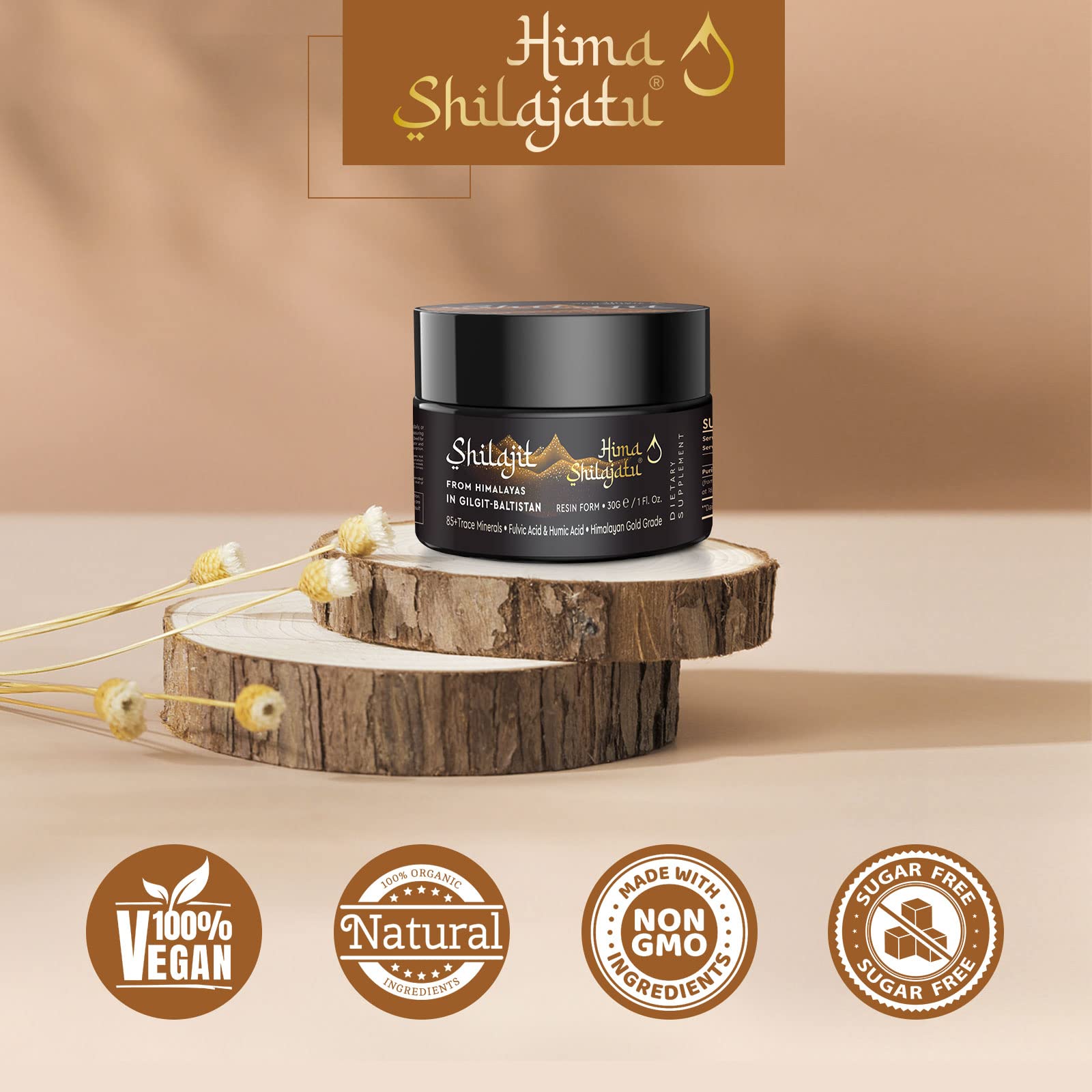 Shilajit resin showing energy and immune support