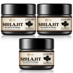 Shilajit resin bottle 600 mg, 30 g