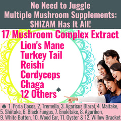 Label highlights a 17-mushroom blend including Lions Mane, Turkey Tail, Reishi, Cordyceps and Chaga
