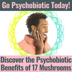 Gummies arranged on a plate with fresh fruit for wellness