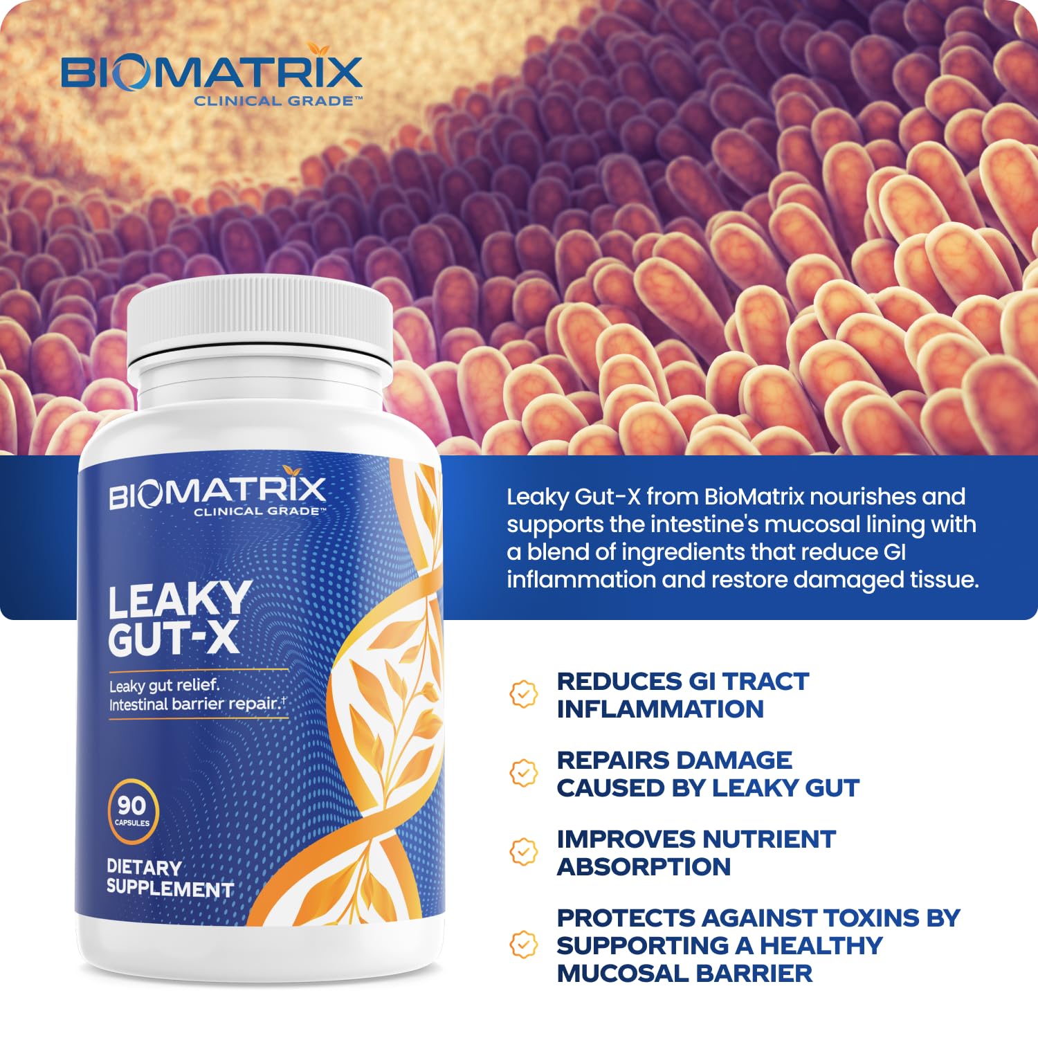 60-day supply packaging for Leaky Gut-X veggie capsules