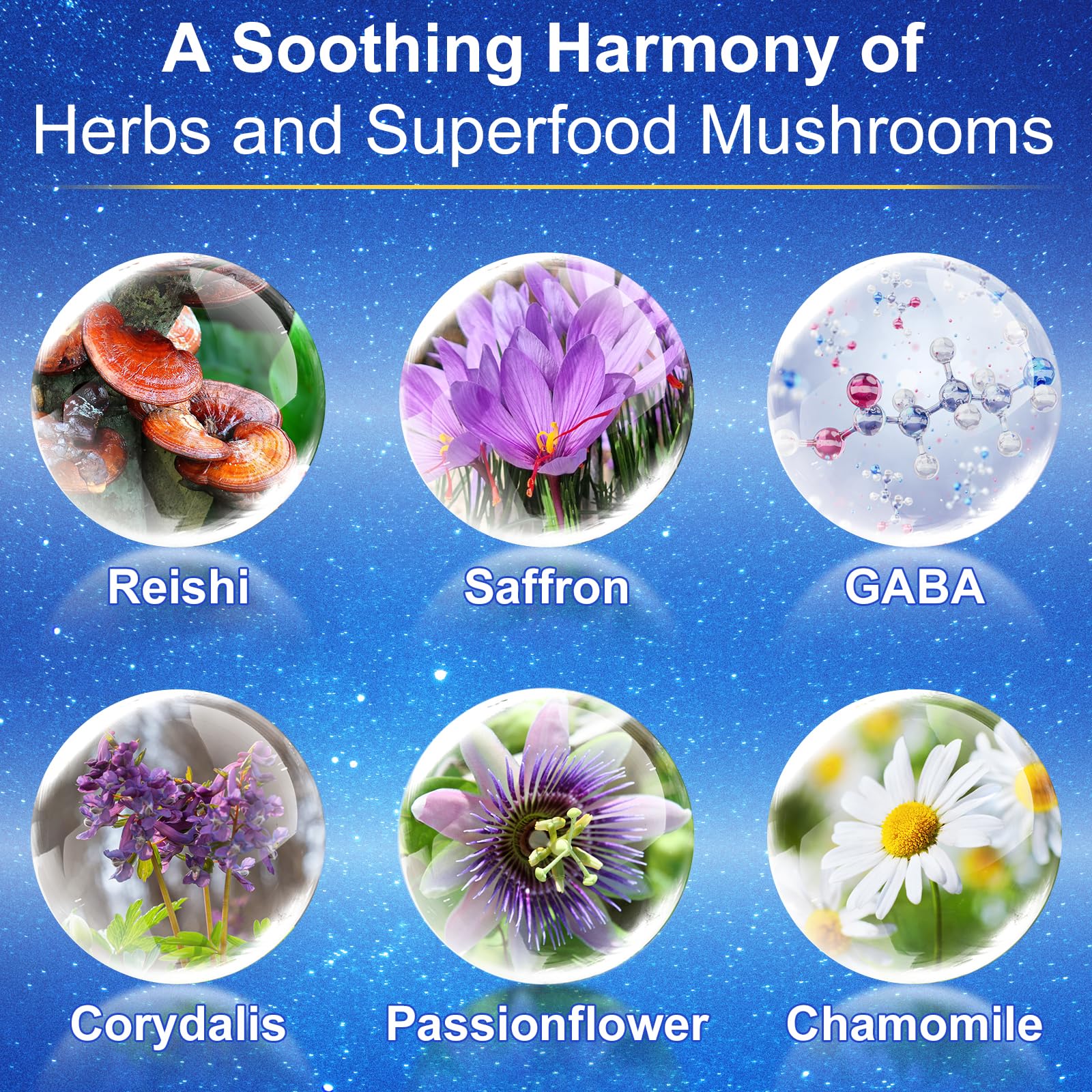 GABA and calming botanicals close-up