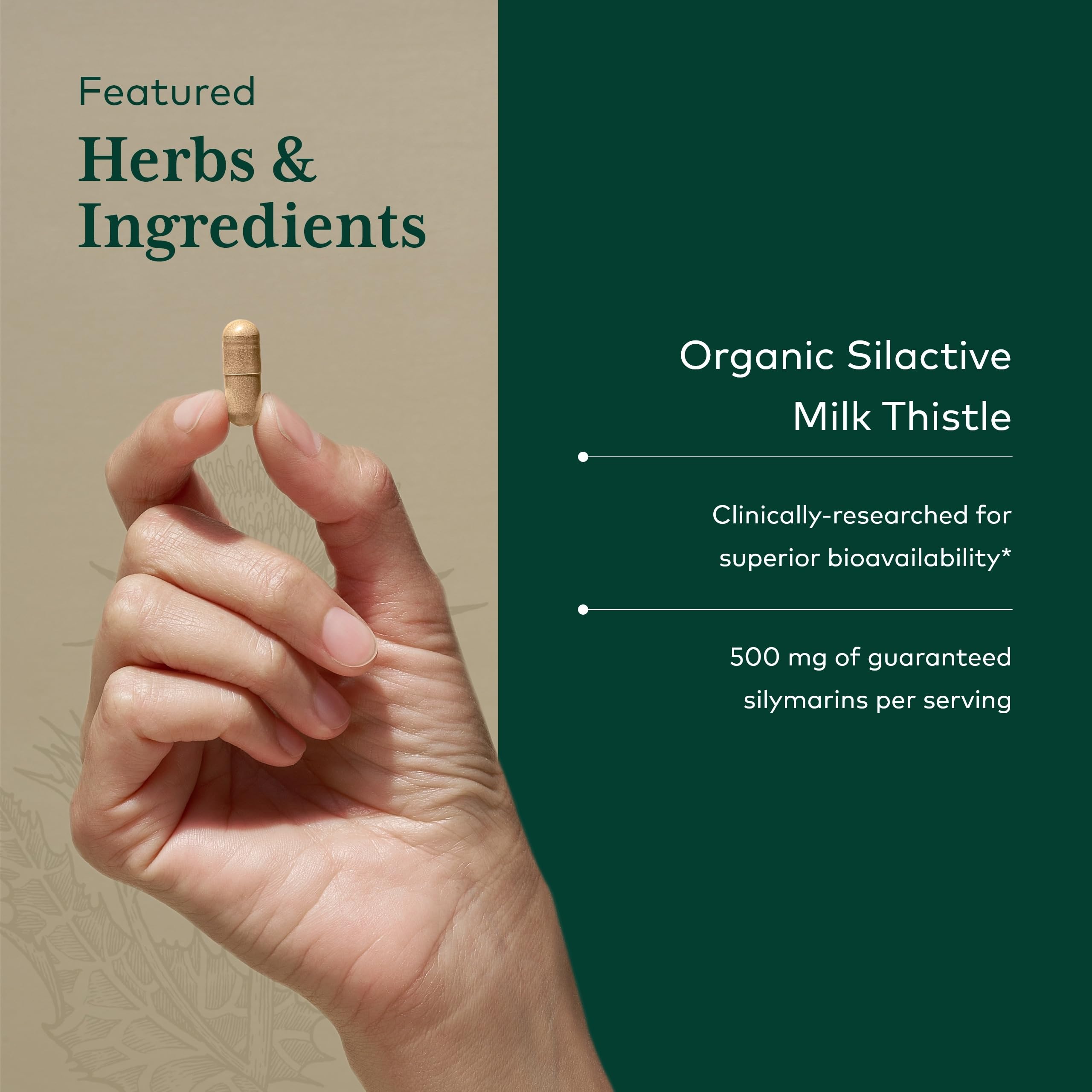 Silactive milk thistle extract 500 mg label