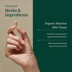 Silactive milk thistle extract 500 mg label